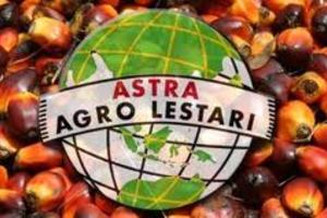  ASTRA AGRO LESTARI: Volume Penjualan CPO Turun 11,8%